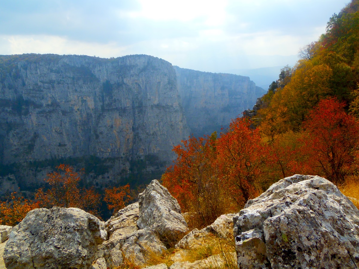 Autumn-coloured trees and rocky foreground overlooking the dramatic cliffs of Vikos Gorge in the Zagori region of northwest Greece