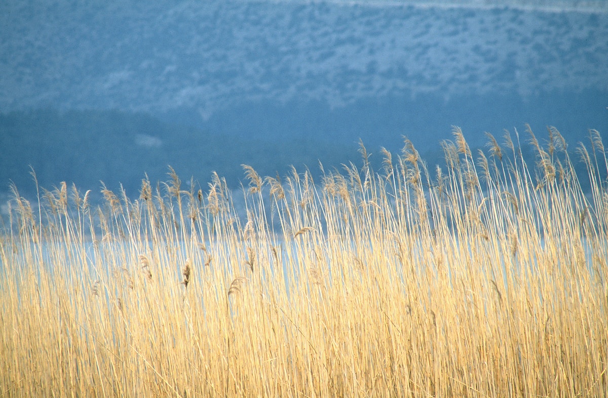 The Byzantine kastro of Ioannina on the shores of Lake Pamvotis at dusk