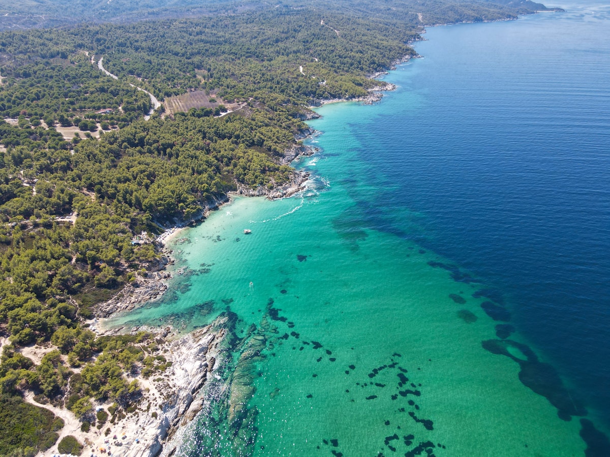Aerial view of Kavourotrypes beach with turquoise water and pine-covered rocky coastline, Halkidiki, Greece