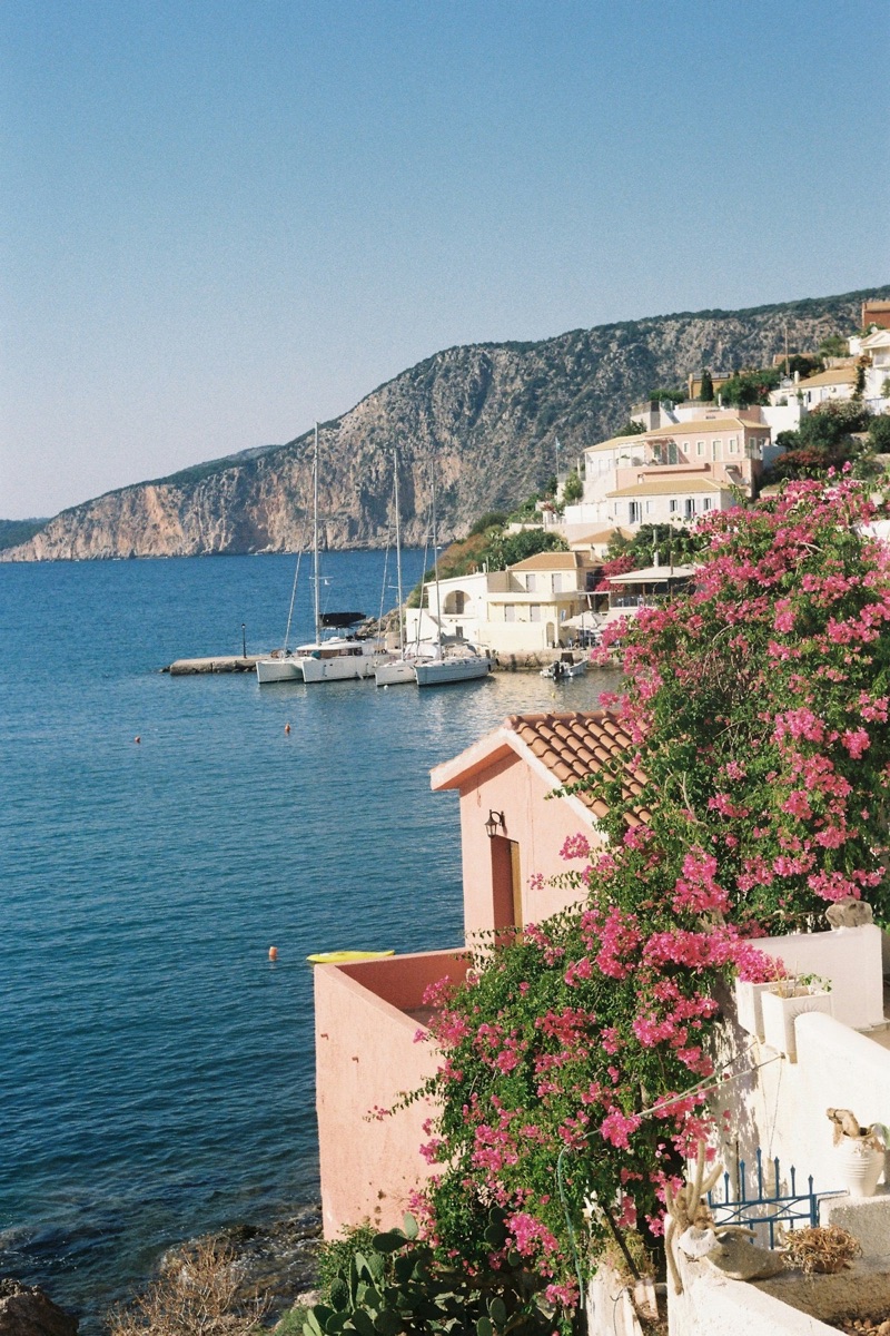 Pink bougainvillea flowers overlooking a bay with sailboats and a coastal village, Asos, Kefalonia, Greece
