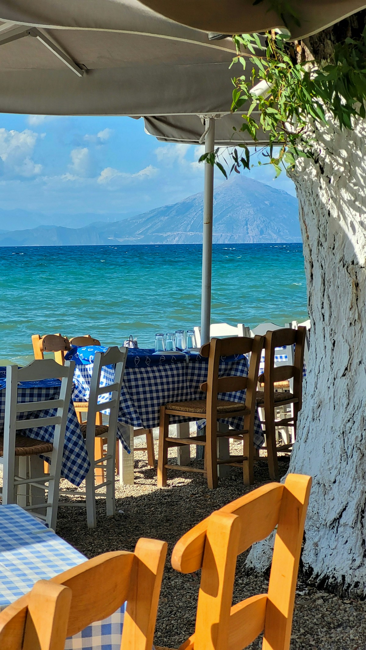 Traditional Cretan taverna courtyard with stone walls and vine canopy