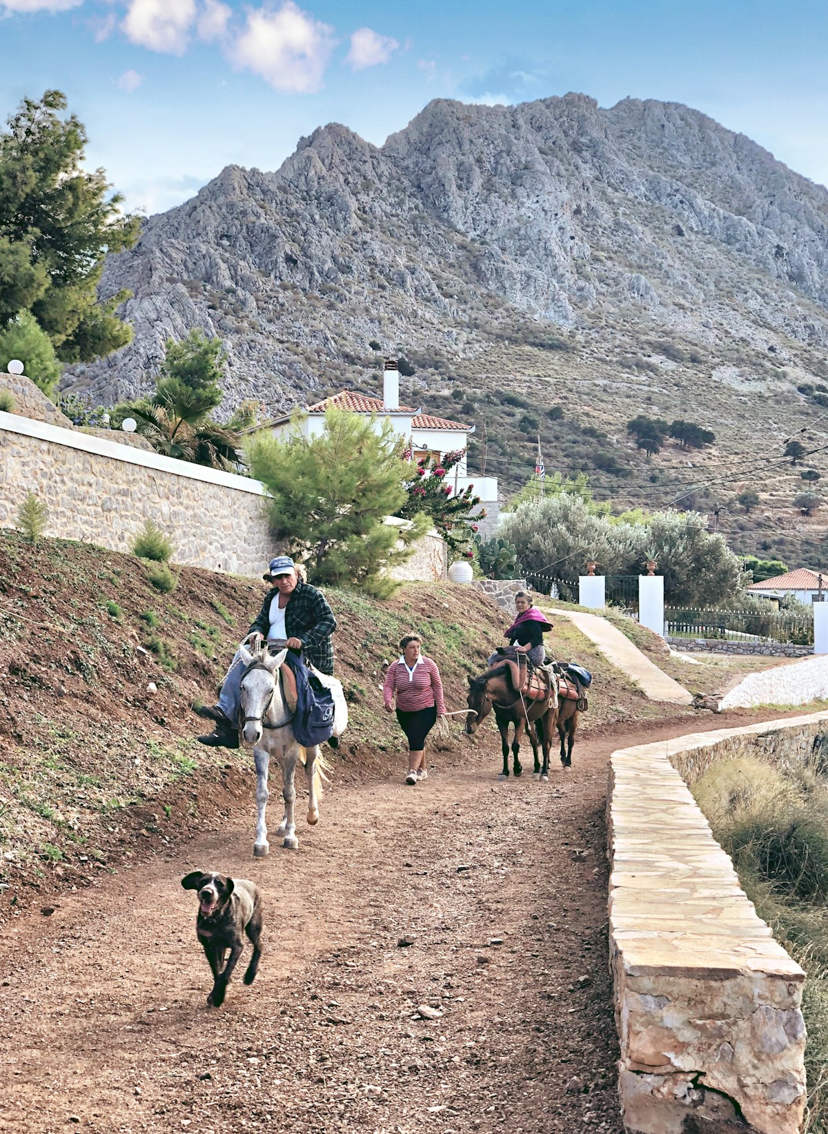 People and donkeys on a stone path above Hydra harbour with mountains behind, Greece