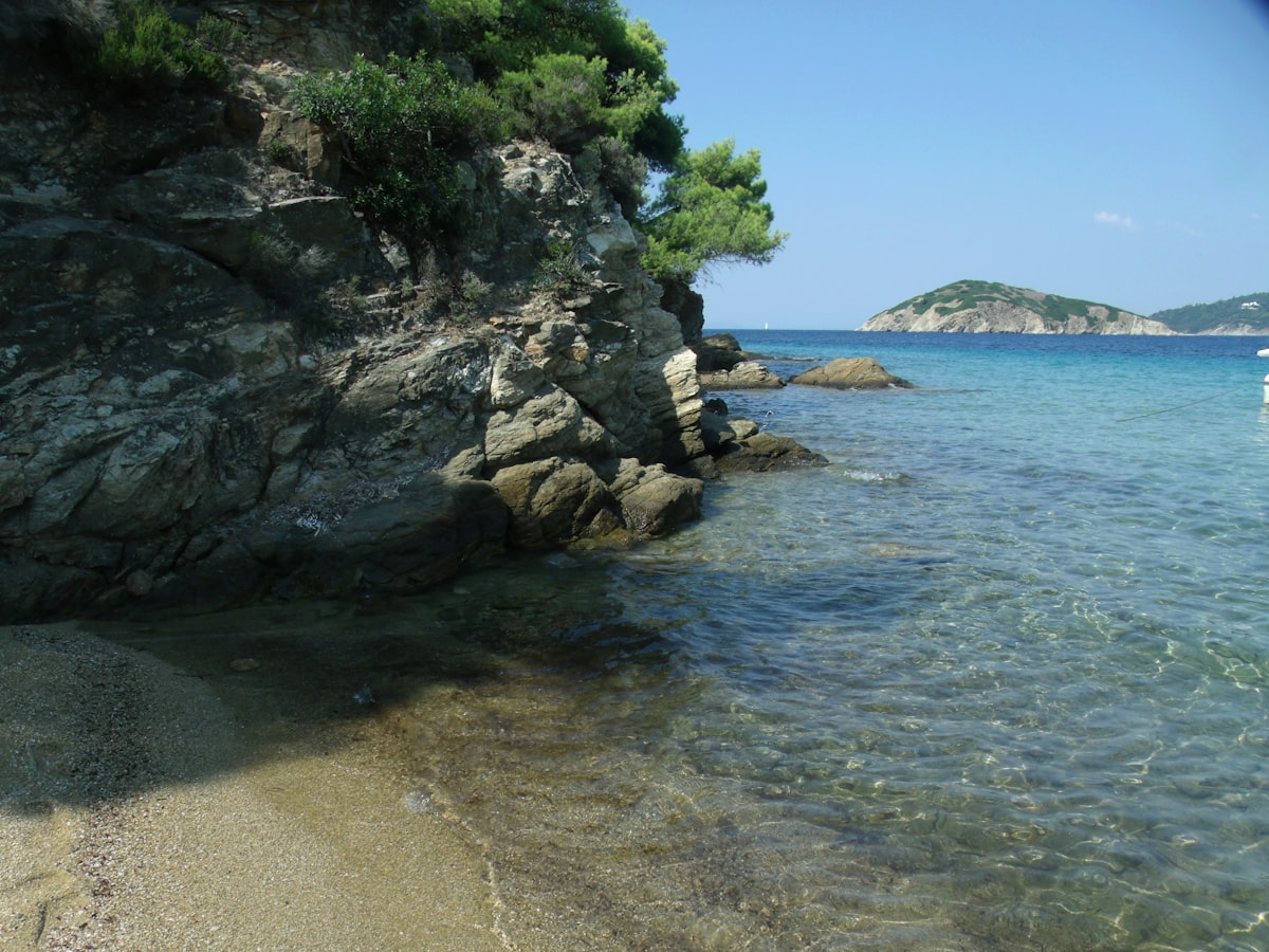 Rocky pine-covered shoreline with crystal-clear turquoise water at a beach in Skiathos, Greece