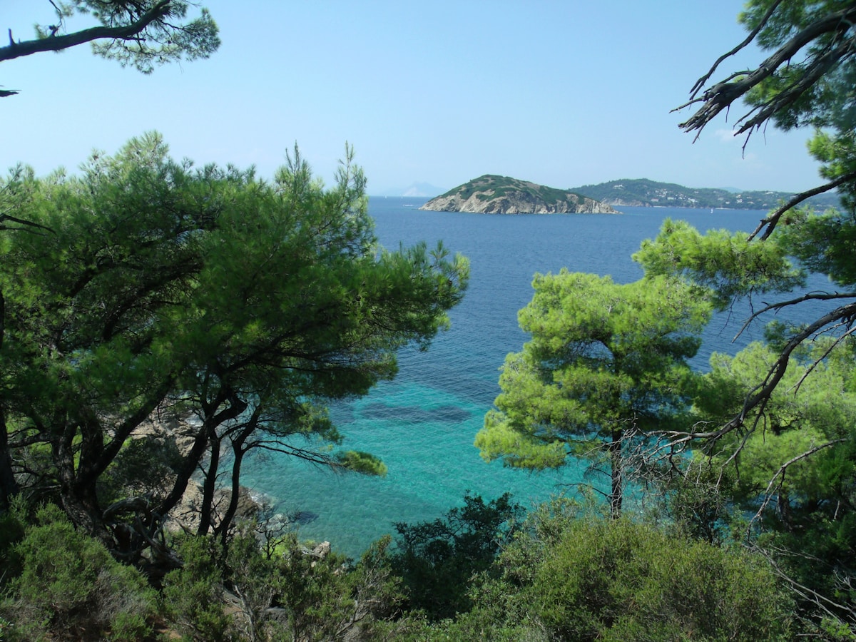 Koukounaries beach in Skiathos with pine trees and clear turquoise water