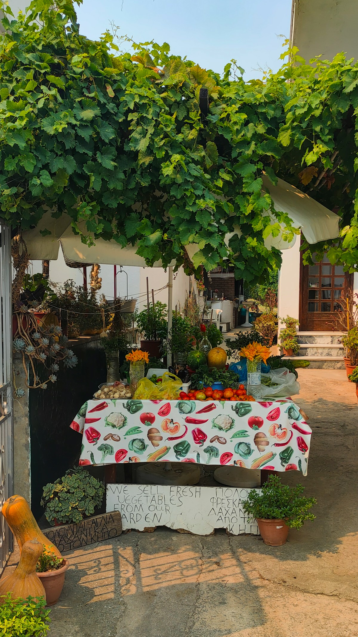 Fresh vegetables on a table with printed cloth under a vine trellis, Skopelos island, Greece