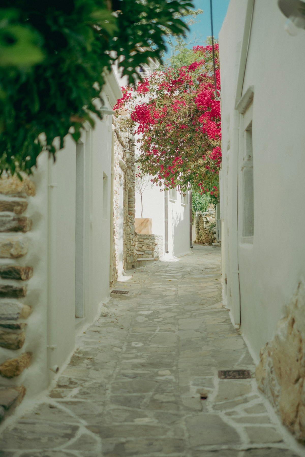 Narrow cobblestone alley with whitewashed stone walls and pink bougainvillea, Naxos Greece
