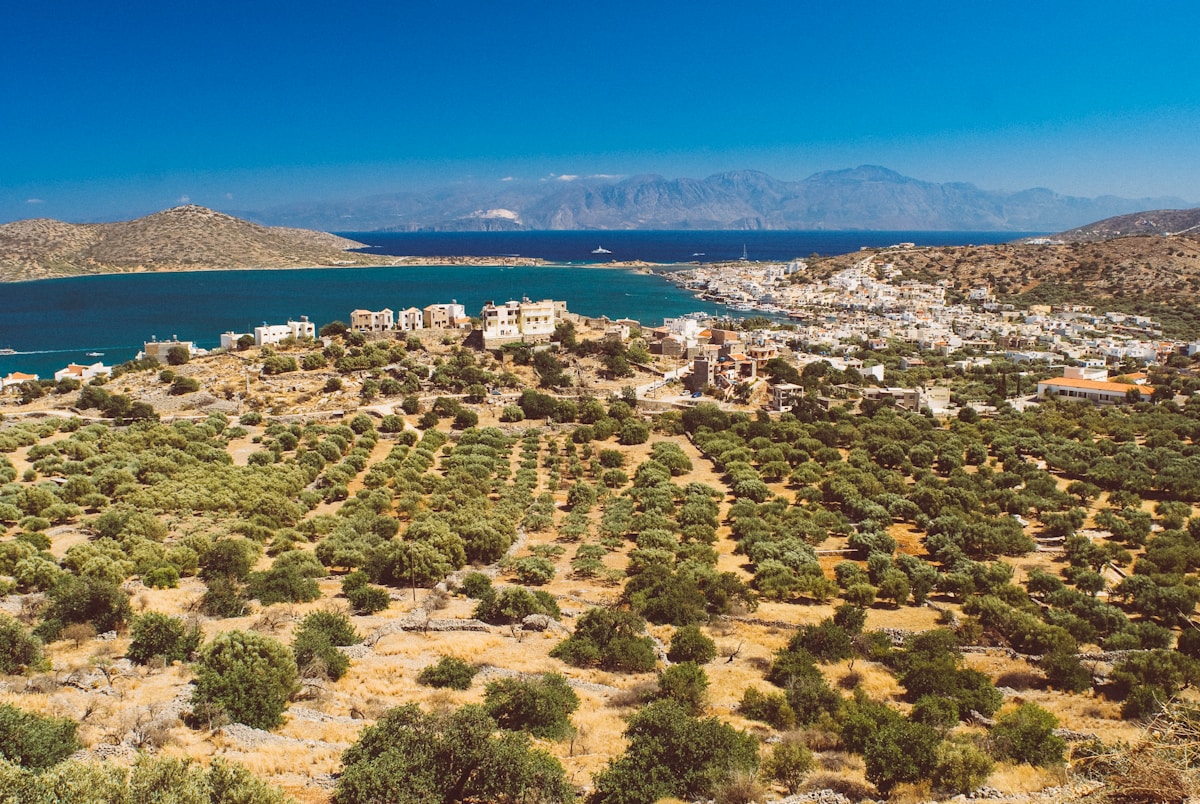 Aerial view of a coastal Cretan town surrounded by olive groves and sea