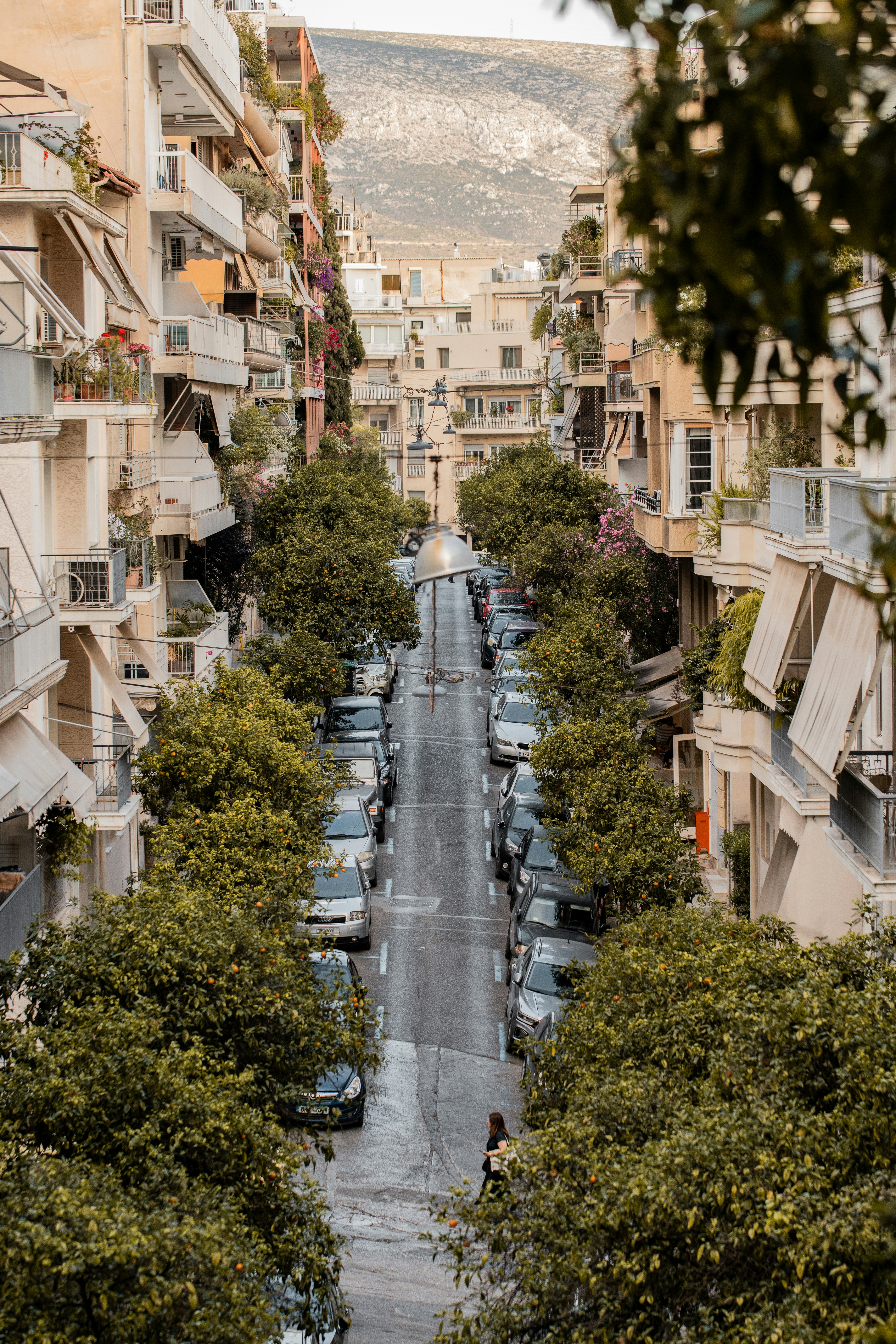 Athens residential street lined with apartment buildings and orange trees
